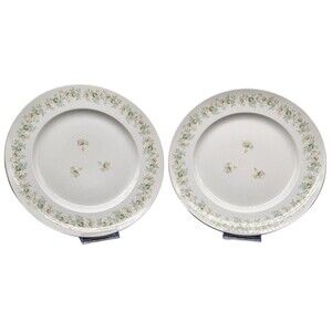 Johann Haviland Vintage Forever Spring Dinner Plates Bavaria Germany Set of 2